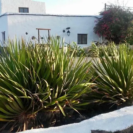 Los Dragos
