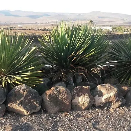 Los Dragos Holiday home Teguise (Lanzarote)